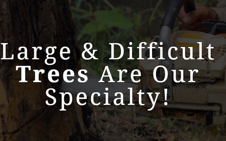 All Tree Services Aust. featured image