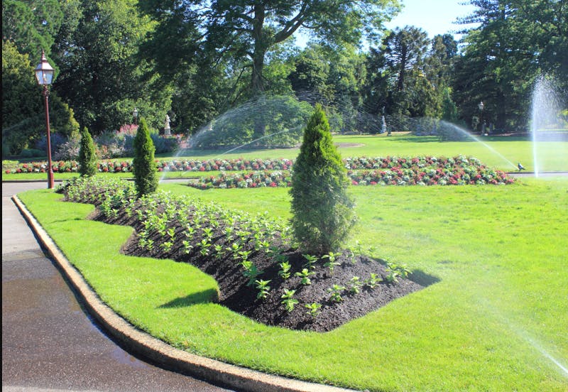 Gracescapes In Wingfield Iseekplant