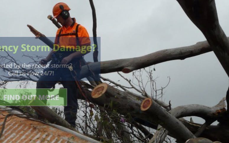 GDE Tree Services featured image