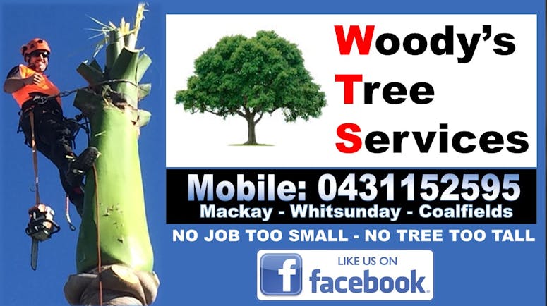 Woody's Tree Services featured image