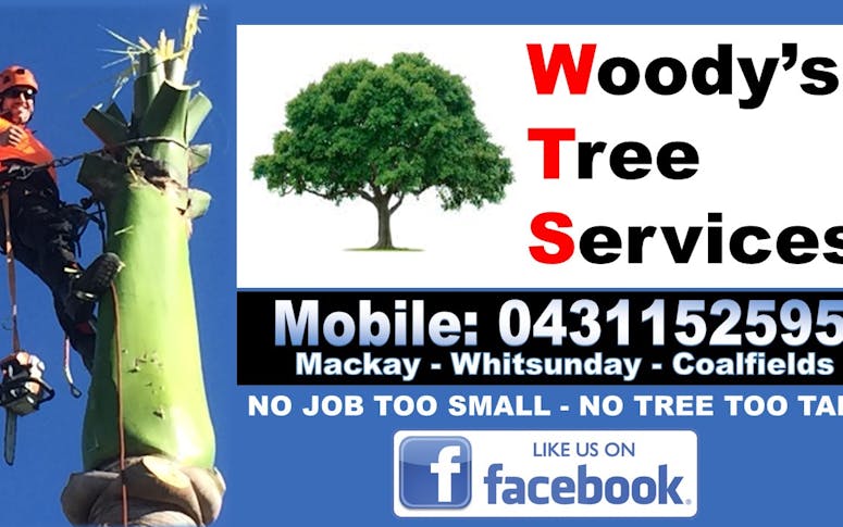 Woody's Tree Services featured image