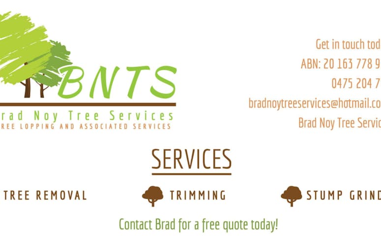 Brad Noy Tree Services featured image