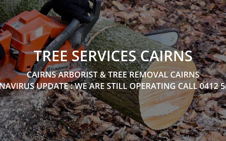 Bumble Bee Tree Services featured image