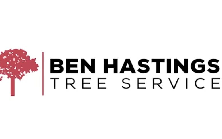 Ben Hastings Tree Service Pty Ltd featured image