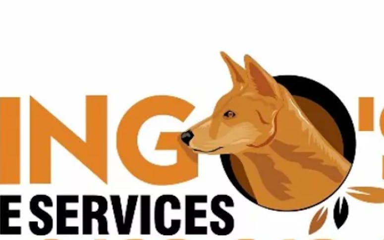 Dingo's Tree Services featured image