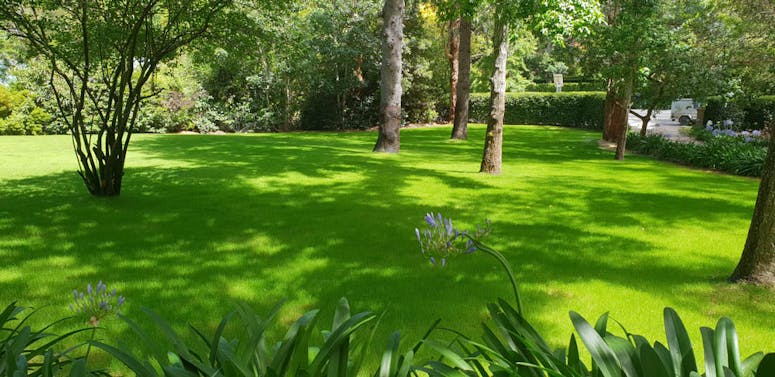 STRINGYBARK LANDSCAPING featured image