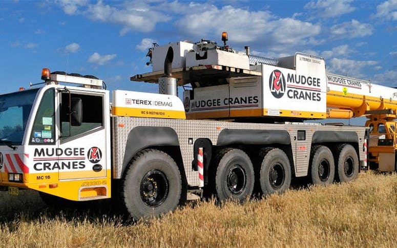 Mudgee Cranes featured image