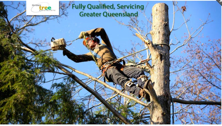 Northern Tree Specialists Pty Ltd featured image