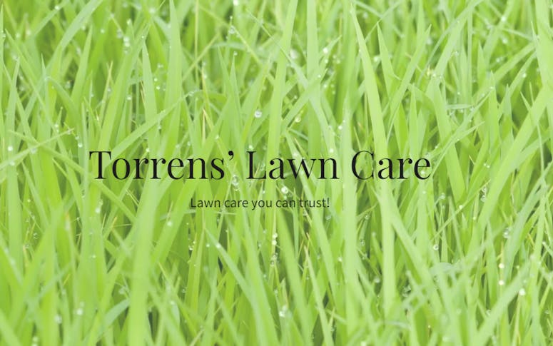 Torrens’ Lawn Care featured image