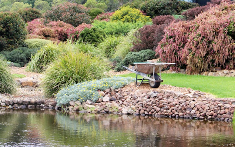 Dale Pickering Landscaping & Design featured image