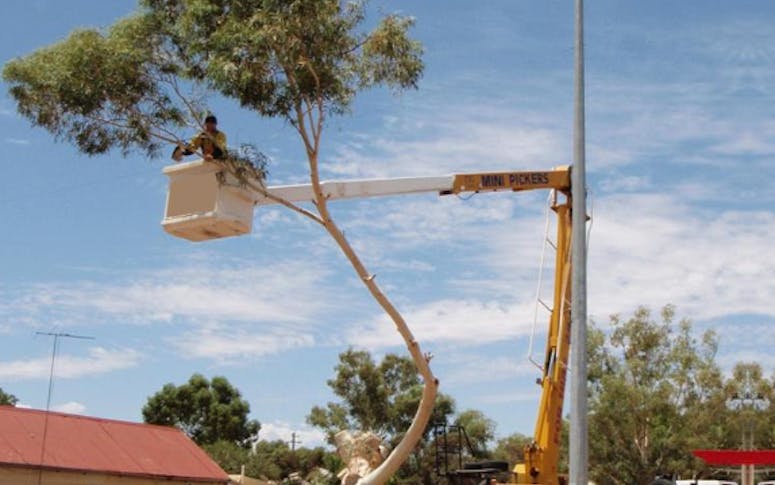 Mahlon's Tree Lopping featured image
