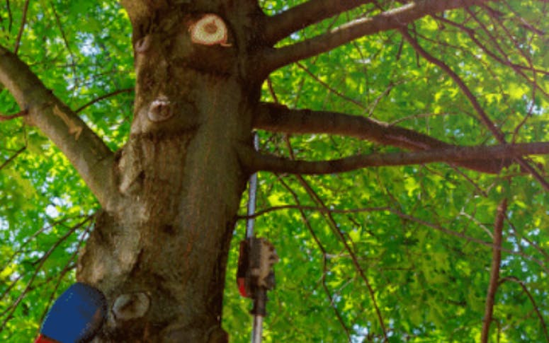 B & R Tree Services featured image