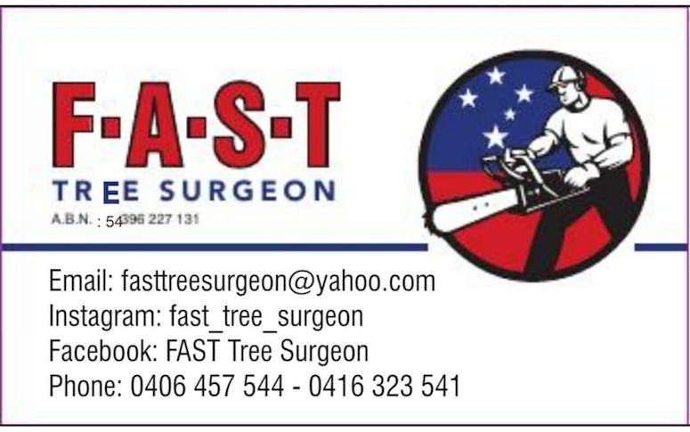 F.A.S.T TREE SURGEON featured image
