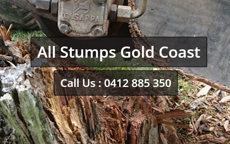 All Stumps Gold Coast featured image
