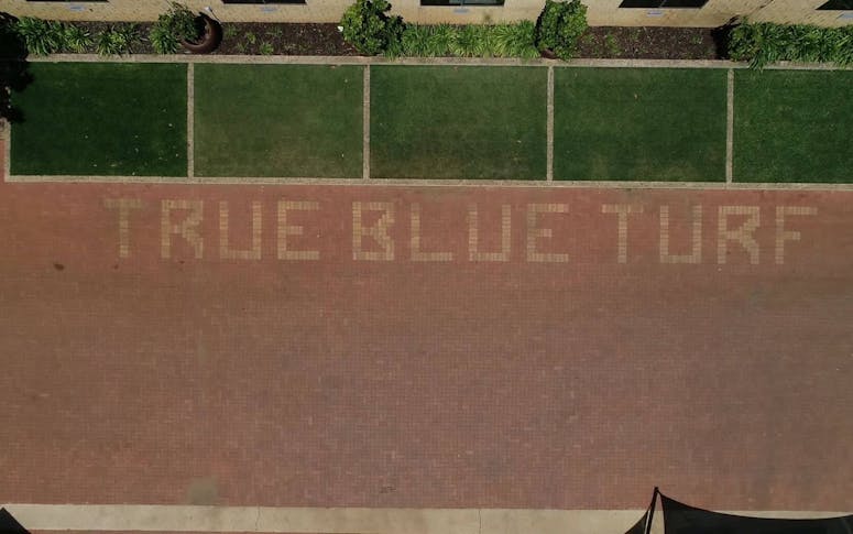 True Blue Turf featured image