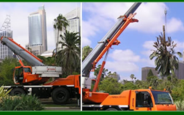 A.C. Tree Services Pty Ltd featured image