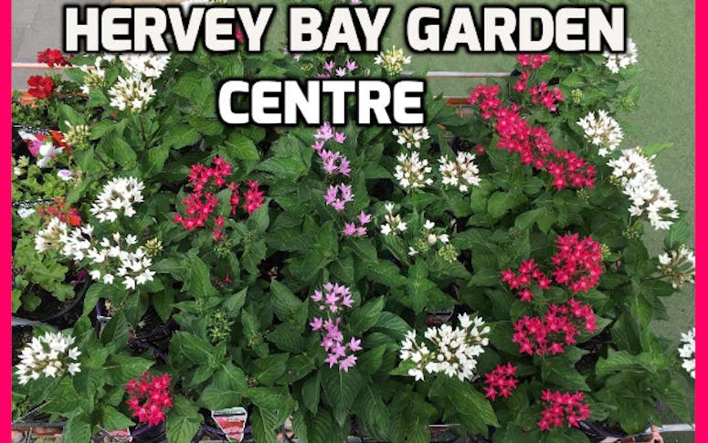 Hervey Bay Garden Centre featured image
