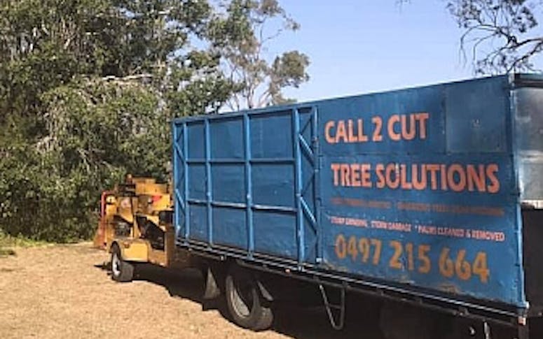 Call 2 cut tree solutions featured image