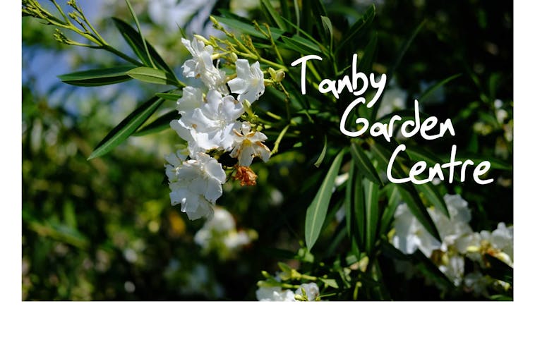 Tanby Garden Centre featured image