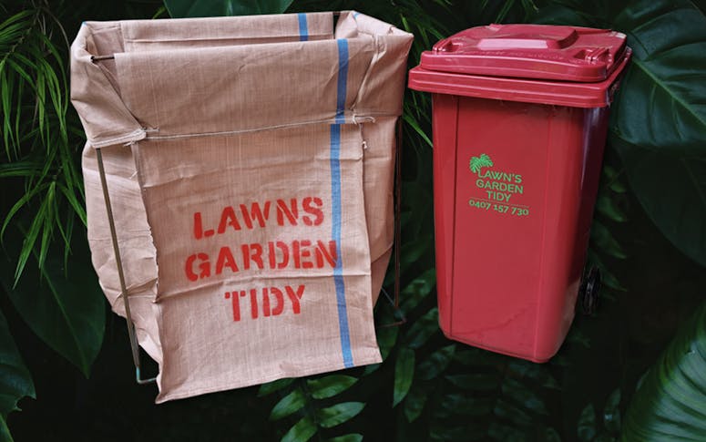 Lawns Garden Tidy featured image
