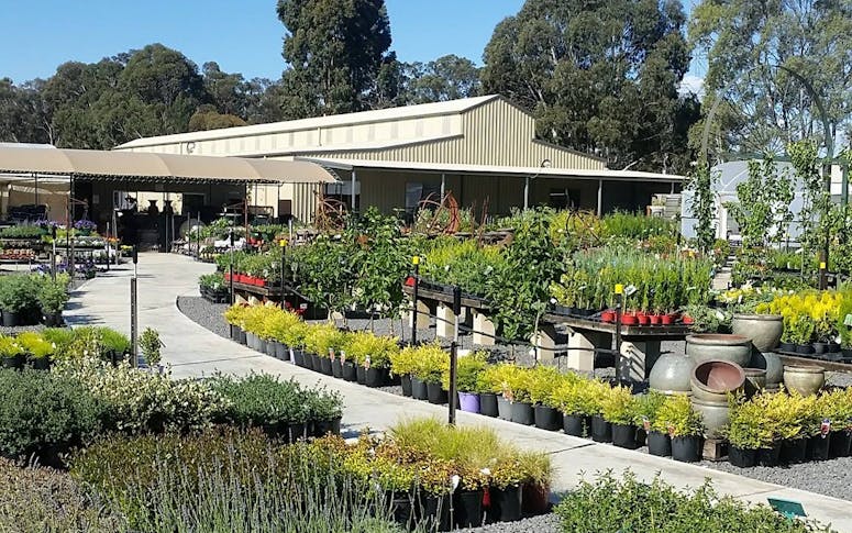 Rodilesa Plant Supplies featured image