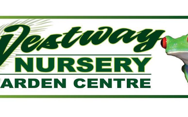 Westway Nursery featured image