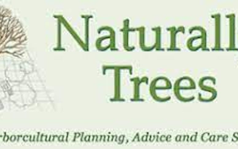 Naturally Trees featured image