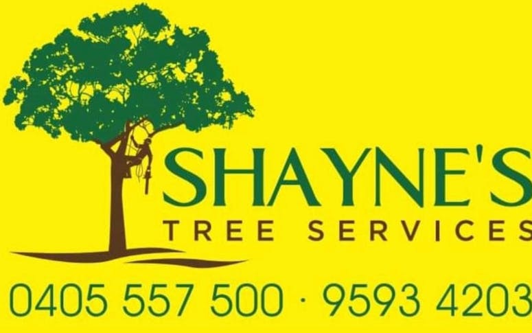 Shayne's Tree Services featured image