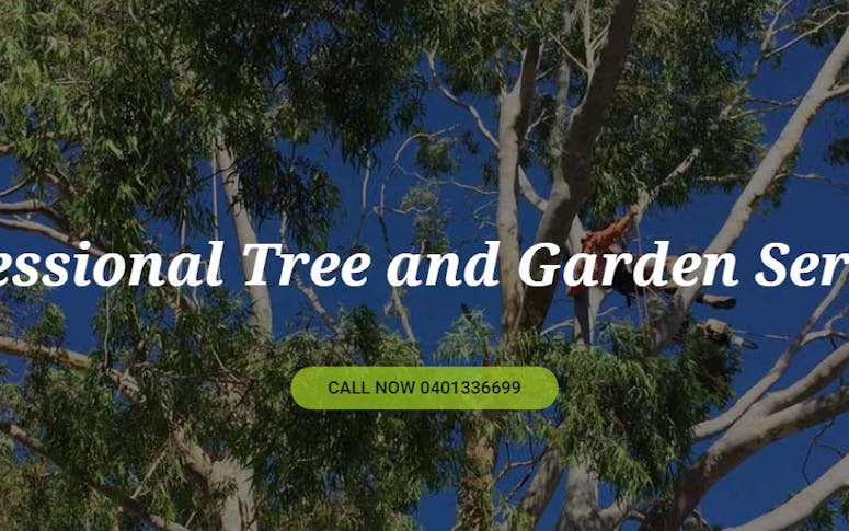 Ace's Tree & Garden Service featured image